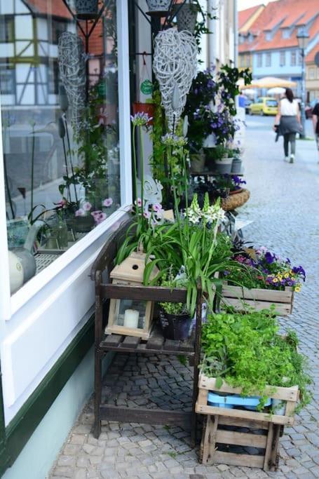 Schoene Ferienwohnung Mit Zwei Schlafzimmern Quedlinburg Exteriér fotografie